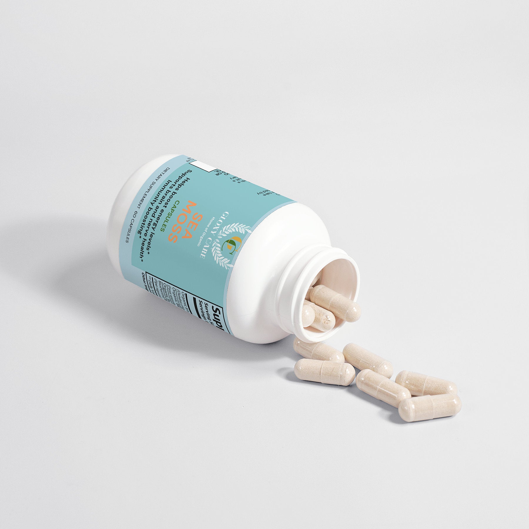 Sea Moss Gloxy Care